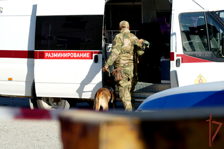 На Сахалине взрывотехники Росгвардии обследовали противотанковую мину