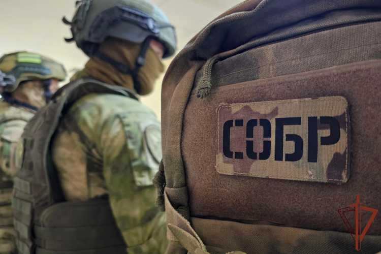 При силовой поддержке Росгвардии задержаны подозреваемые в распространении запрещённых веществ на территории Республики Алтай