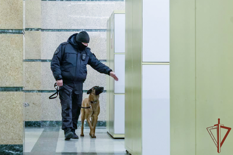 В Челябинской области росгвардейцы обеспечили безопасность хоккейных матчей