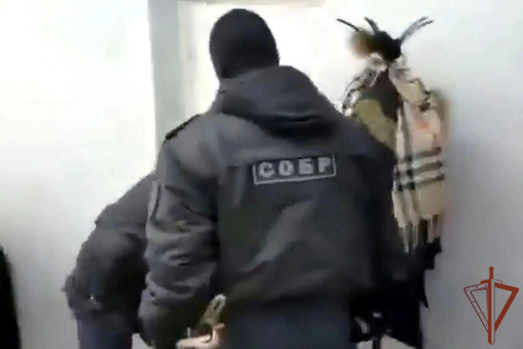В Екатеринбурге при силовой поддержке СОБР Росгвардии задержаны участники группы, совершившие более 400 мошенничеств с недвижимостью