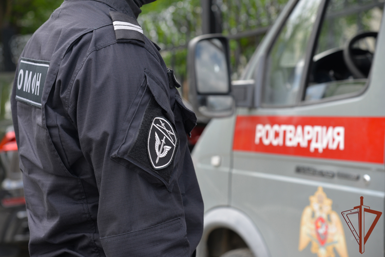 В Курганской области при силовой поддержке ОМОН Росгвардии пресечена деятельность теневых банкиров