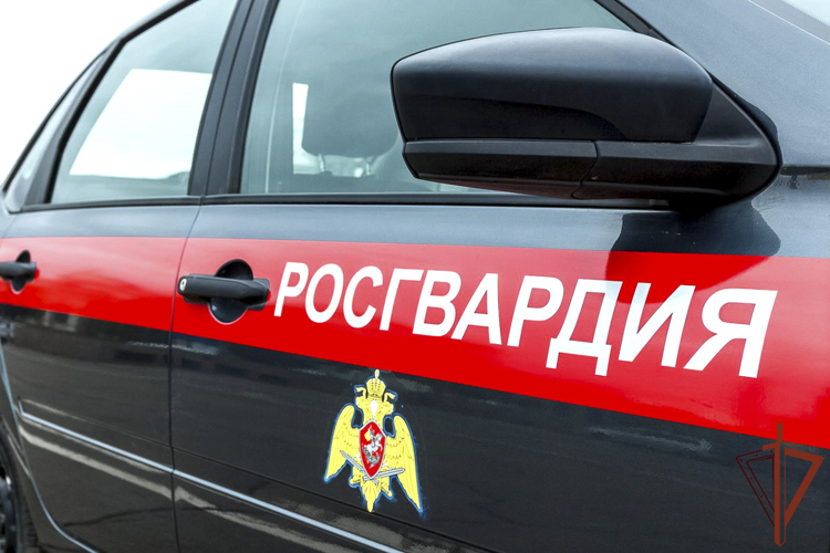 В регионах Урала подведены итоги деятельности вневедомственной охраны Росгвардии