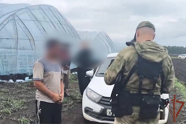 На Южном Урале при содействии ОМОН Росгвардии проведены рейды в тепличных хозяйствах
