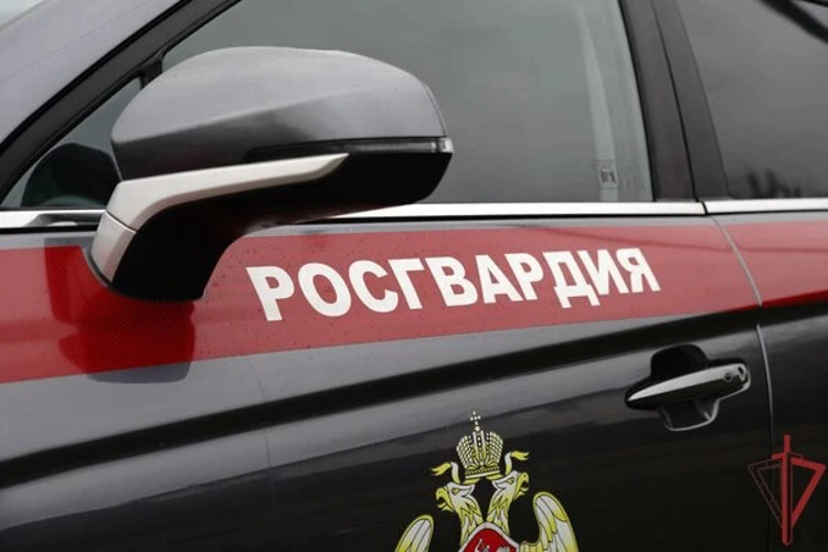 Росгвардейцы задержали дебошира, проникшего на охраняемый объект в Москве (видео)