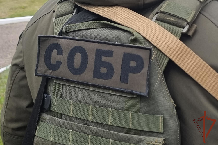 При участии СОБР Росгвардии задержан межрегиональный курьер-закладчик с крупной партией мефедрона в Калмыкии
