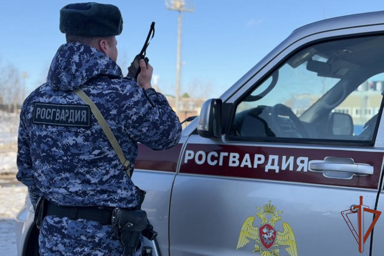 В Нарьян-Маре росгвардейцы вернули родителям потерявшуюся девочку