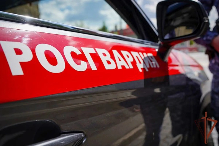 В Москве росгвардейцы задержали мужчину, объявленного в розыск (видео)