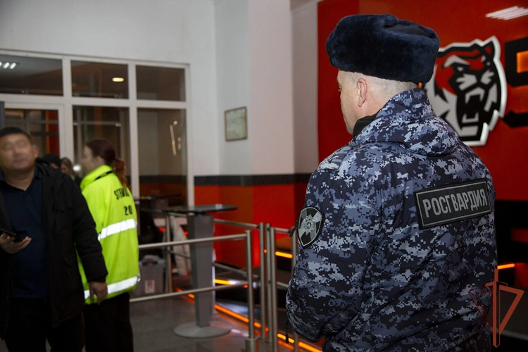 В Хабаровске росгвардейцы обеспечили правопорядок во время хоккейного матча