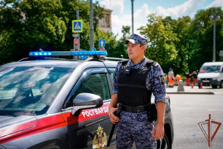 Росгвардейцы вернули матери ребёнка, потерявшегося в парке Москвы (видео)