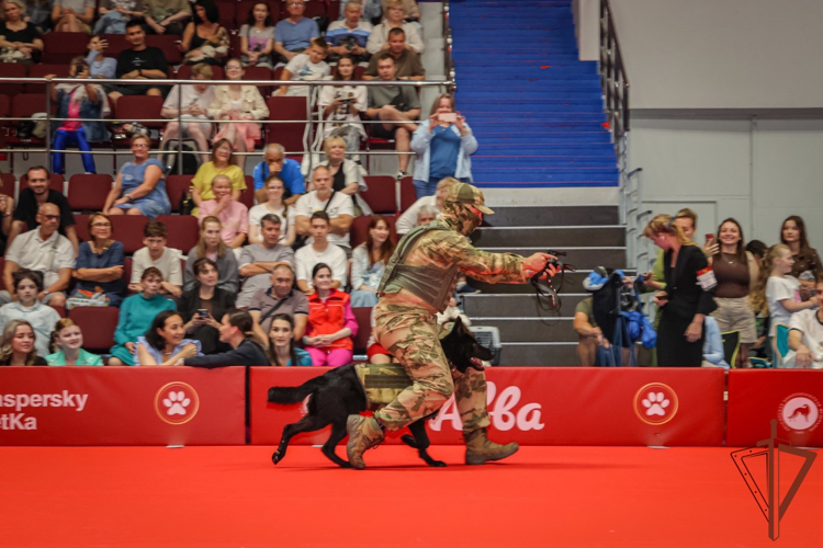 Служебные собаки Росгвардии приняли участие в кинологической выставке