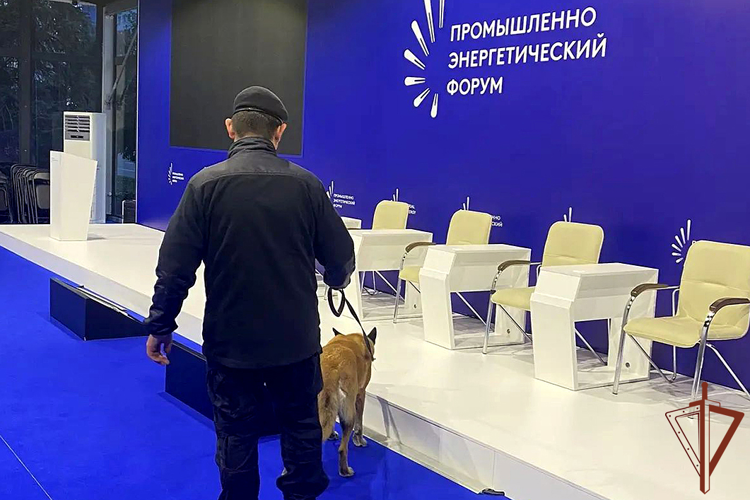 Росгвардия обеспечила безопасность международного промышленно-энергетического форума TNF-2026, прошедшего в Тюмени