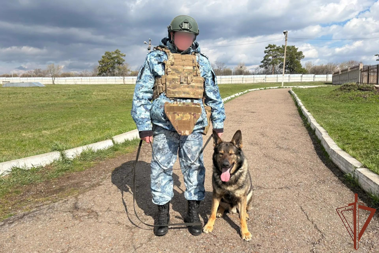 Золото и серебро турнира специалистов-кинологов завоевали росгвардейцы в Республике Башкортостан (видео)