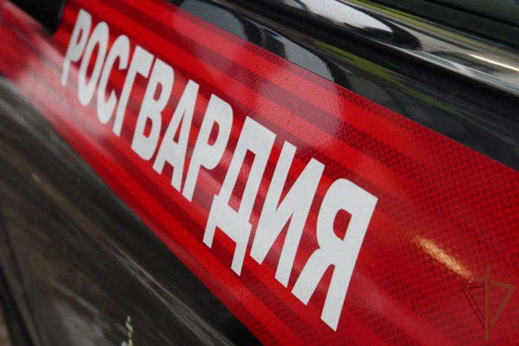 Росгвардейцы задержали курьера с наркотиками в Москве (видео)