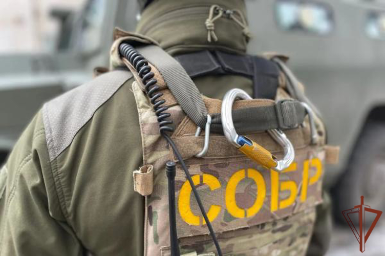 При силовой поддержке СОБР «Белогор» задержаны члены организованной преступной группы, причастные к подделке документов (видео)