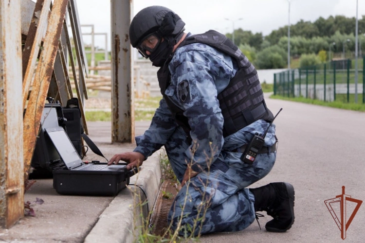 Росгвардейцы обезвредили обнаруженный жителем Северной Осетии боеприпас