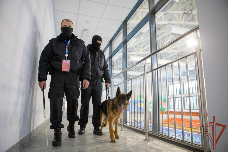 Росгвардия приняла участие в обеспечении безопасности международного форума «Россия – спортивная держава» в Красноярске