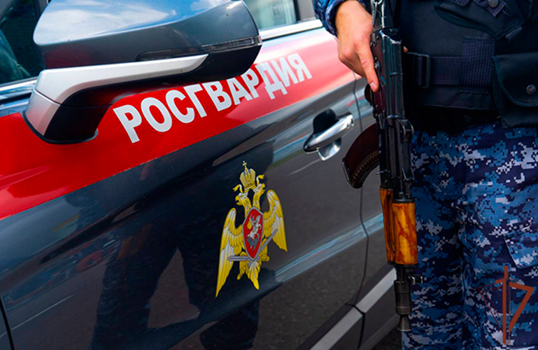 Росгвардейцы задержали мужчину, открывшего стрельбу в Подмосковье (видео)