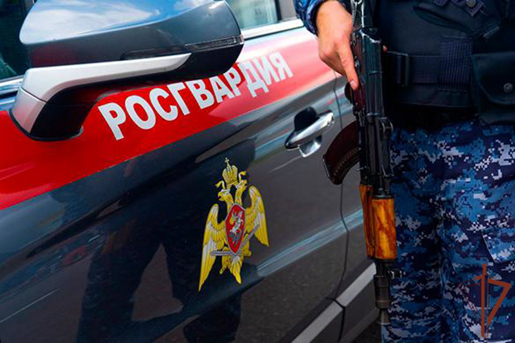 Росгвардейцы пресекли незаконный оборот наркотиков в крупном размере в Подмосковье (видео)