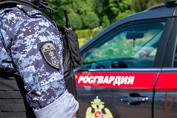 В Москве росгвардейцы задержали рецидивиста за попытку повторной кражи алкоголя (видео)