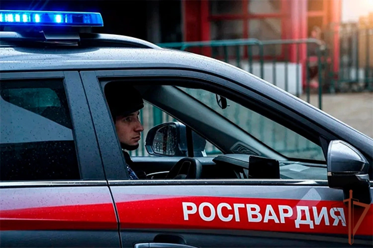 В Москве сотрудники Росгвардии остановили водителя такси, находившегося в розыске (видео)