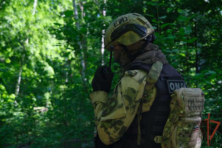 Тактико-специальное учение Росгвардии прошло в Тамбовской области (видео)