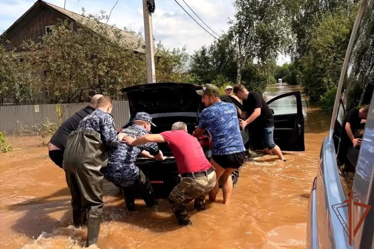 В Удмуртии росгвардейцы оказывают помощь жителям Глазова, пострадавшим от подтопления (видео)