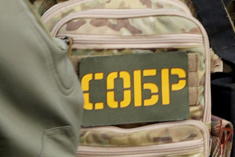 На Сахалине росгвардейцы принимают участие в оперативно-профилактической операции «Нелегал-2026»