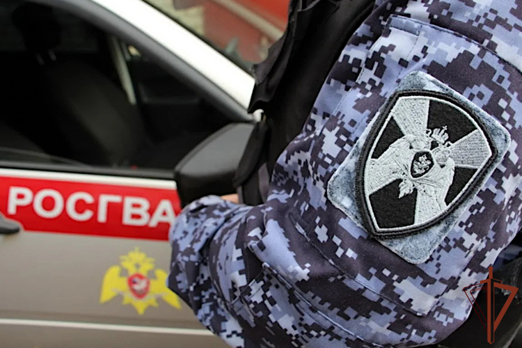 В Зауралье росгвардейцы задержали вооруженного ножом злоумышленника