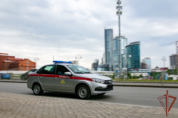 В Свердловской области сотрудники вневедомственной охраны Росгвардии задержали ночного стрелка