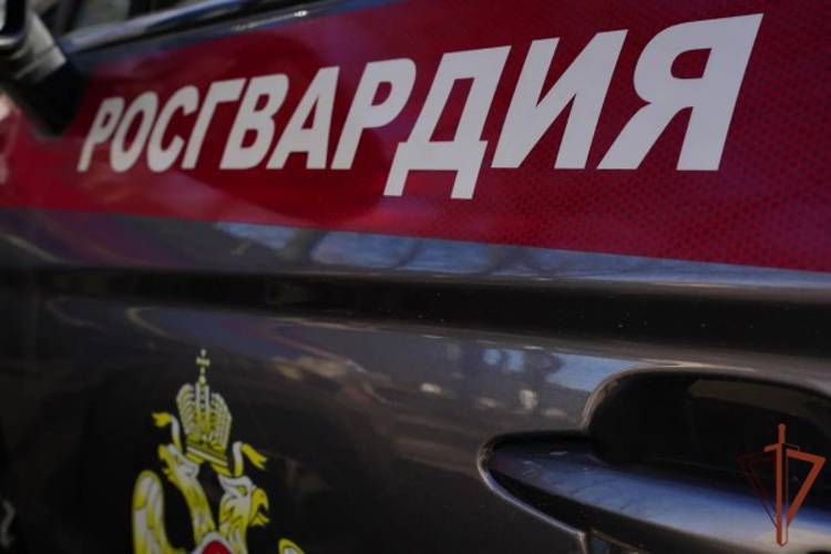 В Москве росгвардейцы задержали двоих мужчин, подозреваемых в разбойном нападении