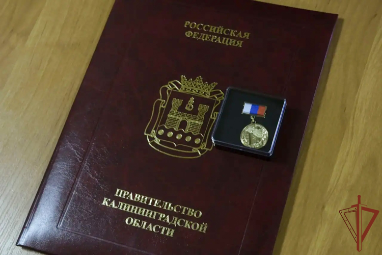 Награды правительства Калининградской области вручили росгвардейцам