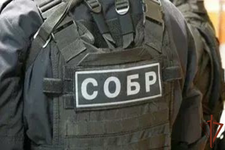 При содействии Росгвардии в Ингушетии задержаны предполагаемые пособники террористов