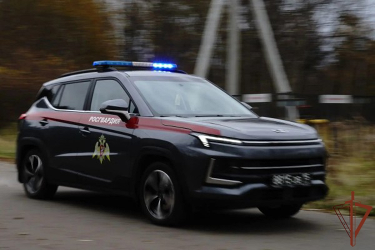 В Москве росгвардейцы задержали водителя разыскиваемого автомобиля (видео)