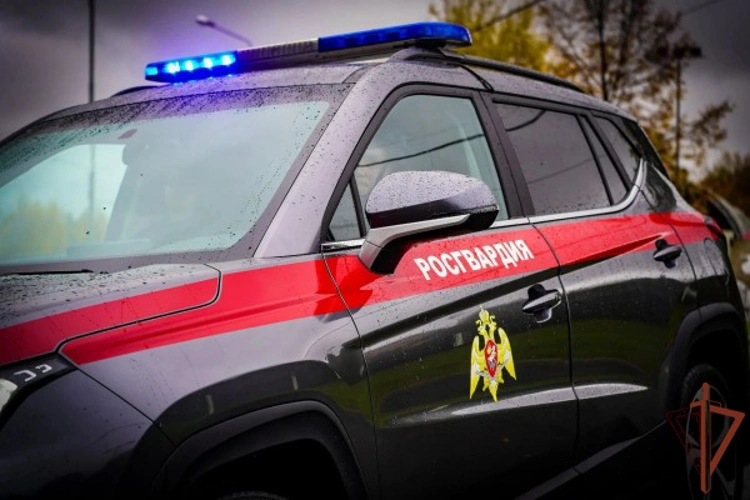 В Москве росгвардейцы задержали иностранца, числящегося в федеральном розыске (видео)