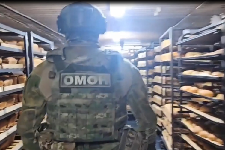 При содействии росгвардейцев в Самаре задержаны нарушители-мигранты (видео)