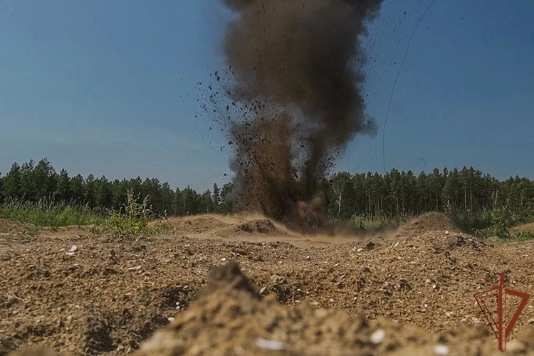 В Пензе росгвардейцы уничтожили боеприпас времен Великой Отечественной войны (видео)