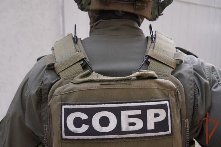 В Саратове при содействии спецназа Росгвардии задержаны подозреваемые в серии мошенничеств (видео)