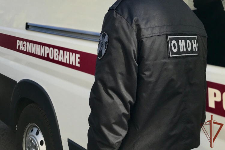 В Северной Осетии росгвардейцы обезвредили обнаруженный опасный предмет