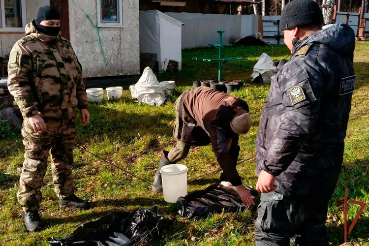 В Свердловской области при участии Росгвардии прошли межведомственные рейды в сфере безопасности водных биологических ресурсов