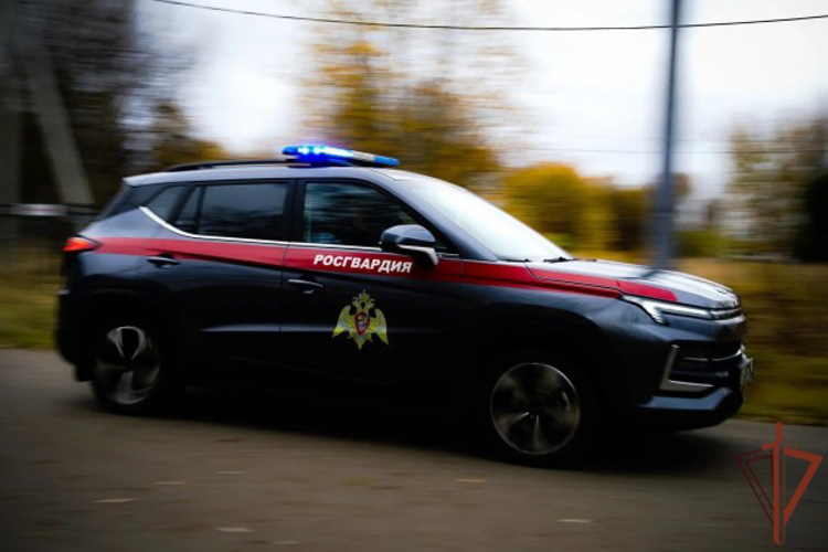 В Москве сотрудники Росгвардии задержали скрывавшегося от правосудия мошенника (видео)