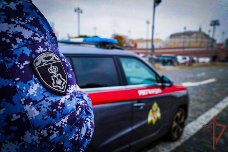 В Москве росгвардейцы задержали двух граждан, устроивших стрельбу из пневматического пистолета во дворе жилого дома (видео)