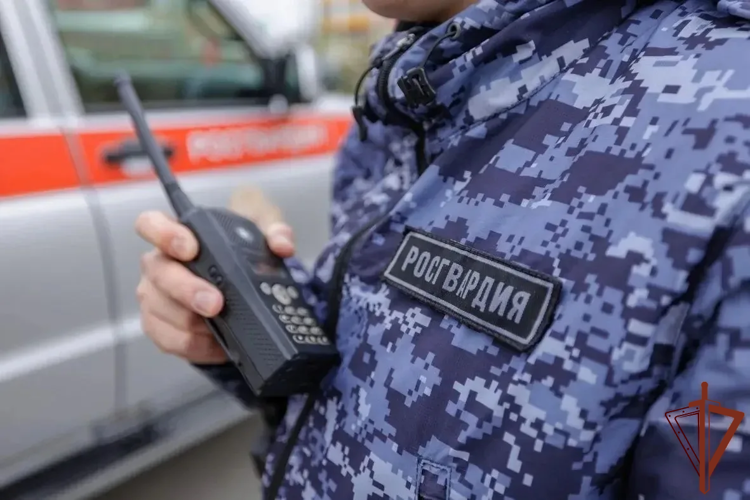 Росгвардейцы обеспечили безопасность крупных волейбольных и хоккейных матчей в Кузбассе