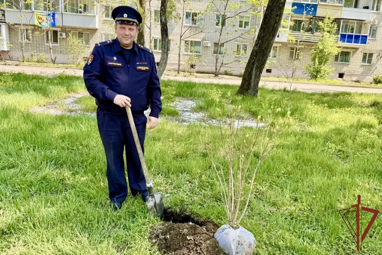 На Дальнем Востоке росгвардейцы приняли участие в высадке деревьев в городских парках