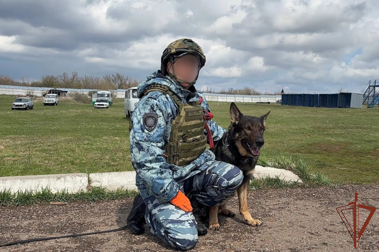 Золото и серебро турнира специалистов-кинологов завоевали росгвардейцы в Республике Башкортостан (видео)