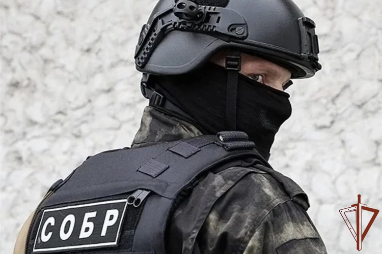 В Новосибирске при силовой поддержке сотрудников СОБР Росгвардии задержана подозреваемая в фиктивном трудоустройстве (видео)