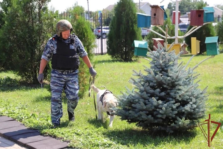 В Белгородской области росгвардейцы отработали алгоритм действий в случае чрезвычайных ситуаций на избирательных участках