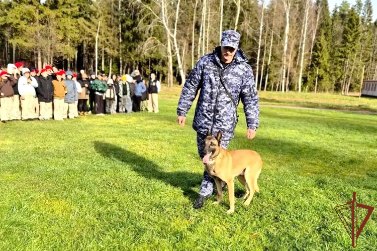 В Удмуртии кинологи Росгвардии рассказали школьникам о своих четвероногих напарниках