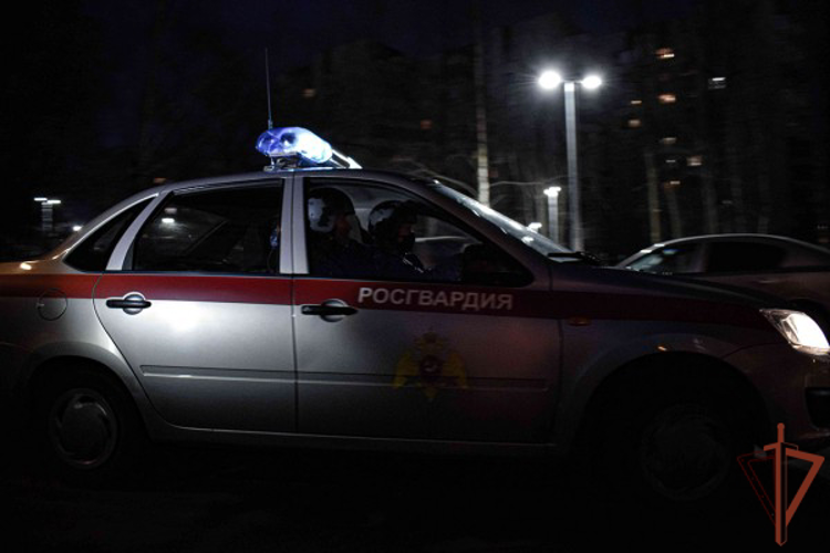 В Хабаровске росгвардейцы помогли найти потерявшегося ребёнка