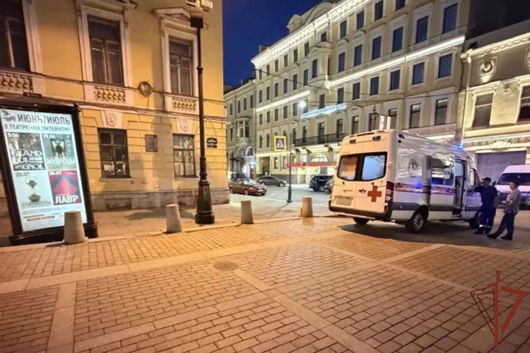 В центре Санкт-Петербурга росгвардейцы задержали правонарушительницу, ударившую бутылкой по голове фельдшера скорой помощи