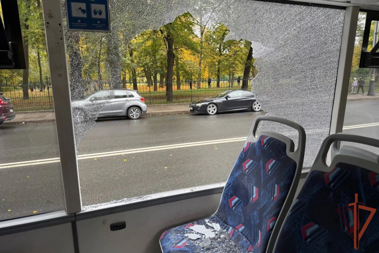 В Санкт-Петербурге росгвардейцы задержали хулигана, устроившего погром в салоне троллейбуса (видео)